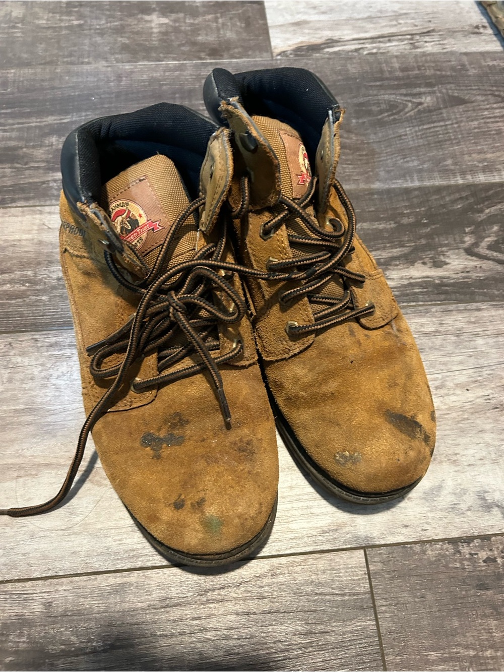 Brahma Men's Tan Suede Work Boots